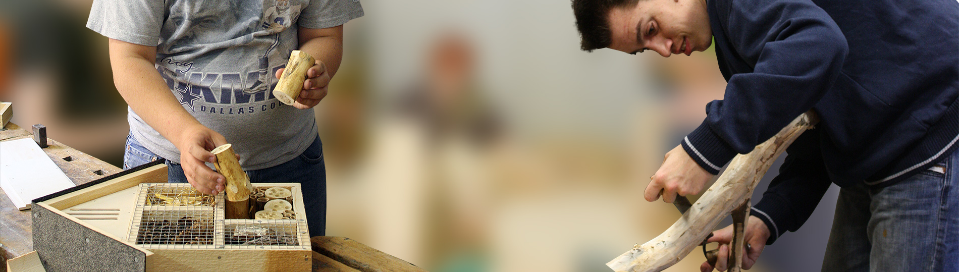 2110-Arbeit-Plus-01 Beschäftigte beim Bau von Insektenhotels in der Arbeit Plus