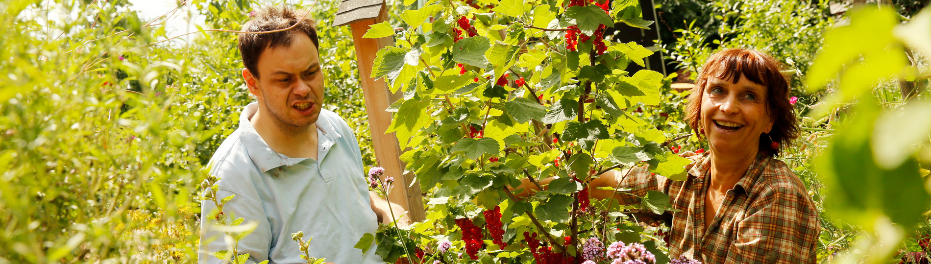 2110-Arbeit-Plus-05 Gartenarbeit im Bereich Arbeit Plus