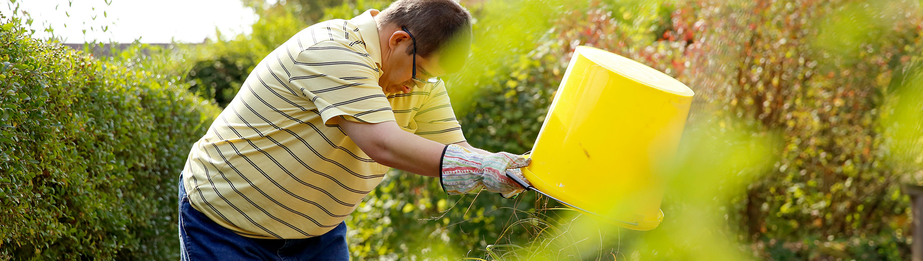 2321-tafoe-gaertner-6