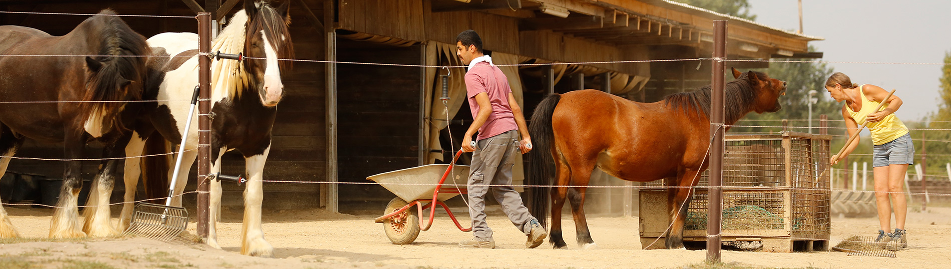 2323-tafoe-tierpfleger-10