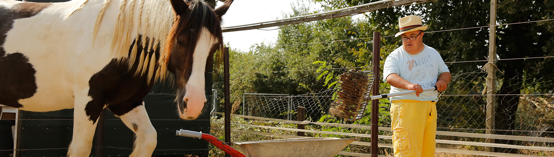 2323-tafoe-tierpfleger-4