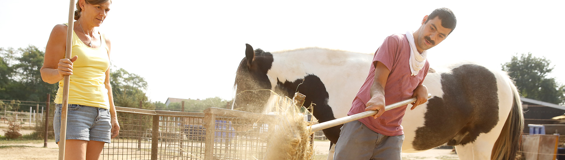 2323-tafoe-tierpfleger-5