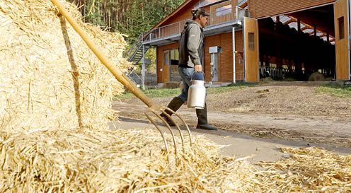 Kleinsägmühlerhof Altleiningen
