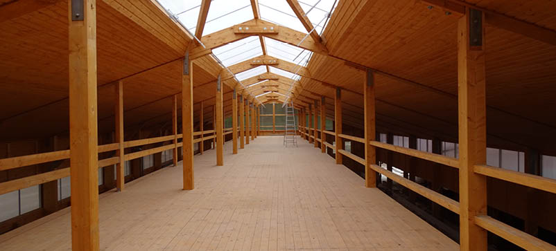 Laufstall Empore Strohbühne