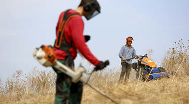 Erfahren Sie mehr über die Garten- und Landschaftspflege