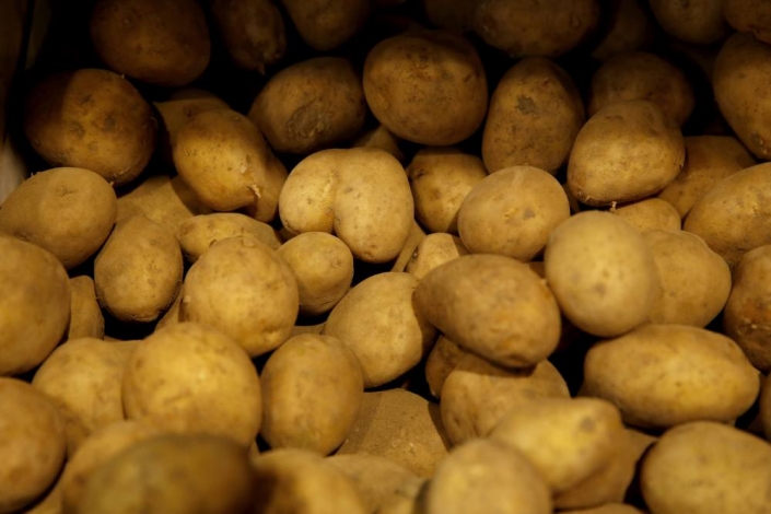 Demeter Kartoffeln Kleinsägmühlerhof Leprima Biomarkt Bad Dürkheim Demeter Kartoffeln Kleinsägmühlerhof