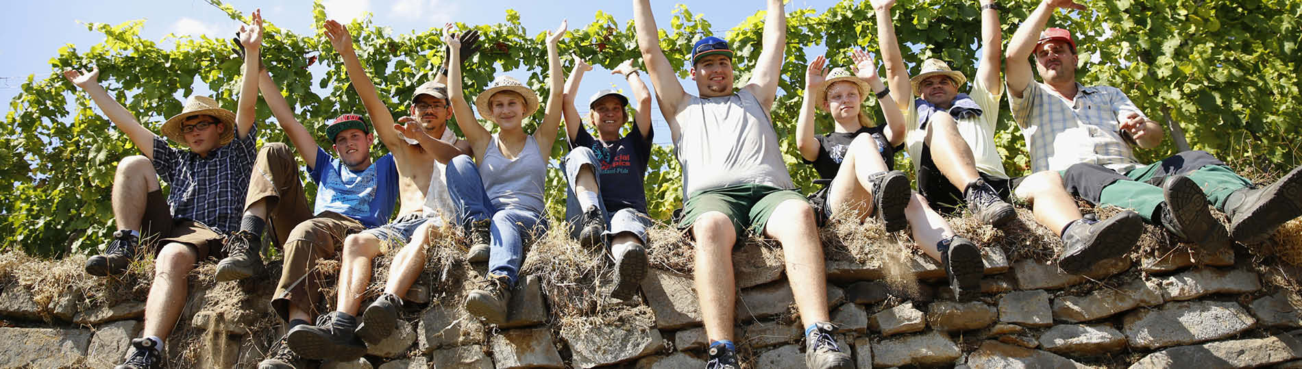 Freiwilligendienst Erfahrungen im Weinbau der Lebenshilfe Bad Dürkheim