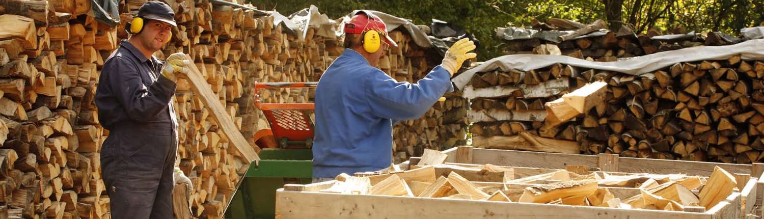 Headbild Brennholz 2