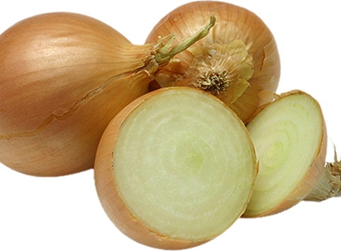 Zwiebeln Zwiebeln Kleinsägmühlerhof Altleiningen