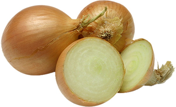 Zwiebeln Zwiebeln Kleinsägmühlerhof Altleiningen