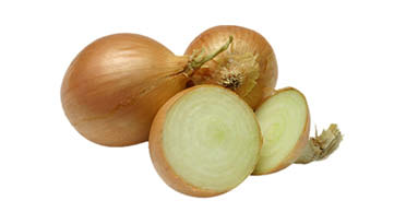 Zwiebeln Kleinsägmühlerhof