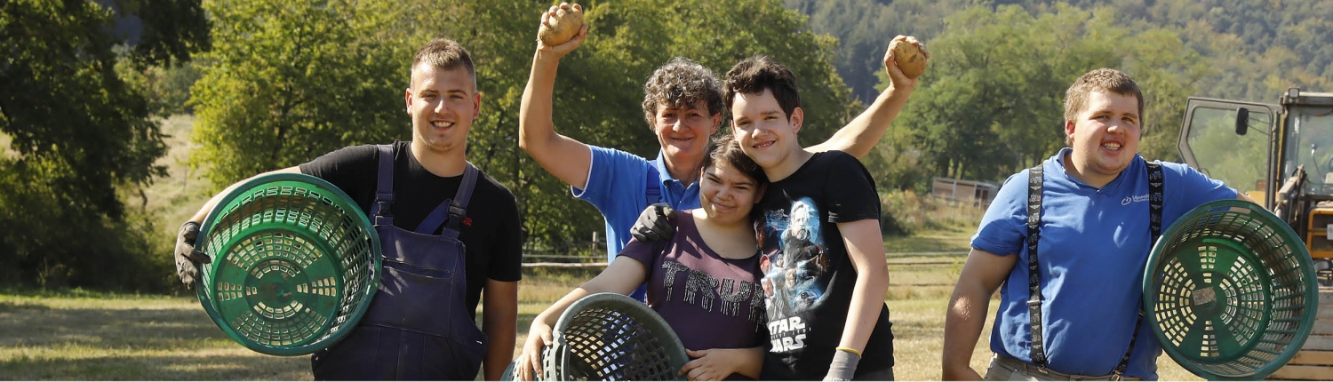 2400-Biohof-Kartoffeln 5 Kartoffelernte Kleinsägmühlerhof Altleiningen