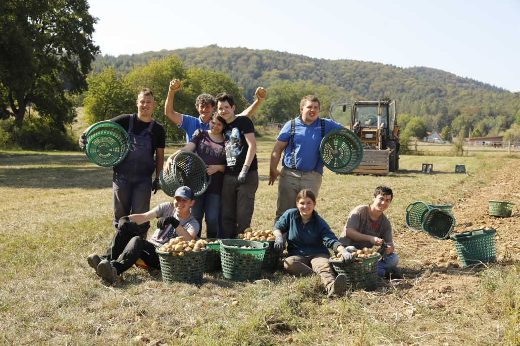 Kartoffelernte Kartoffelernte Kleinsägmühlerhof Altleiningen
