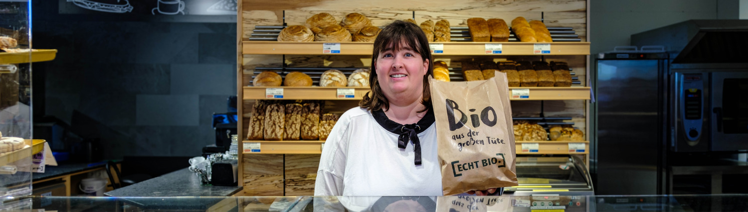 Header Homepage Wordpress 7