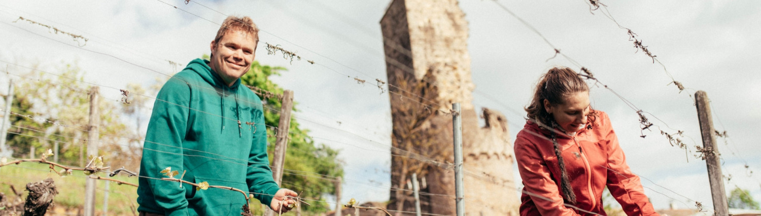 Lagen - Wachtenburg Header - Wachtenburg