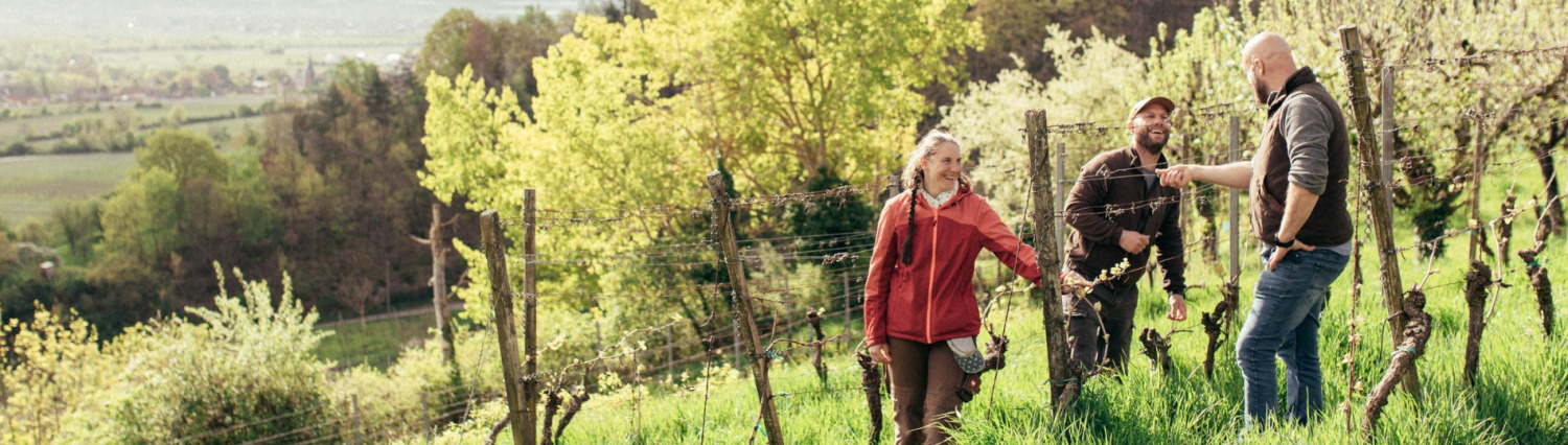 Lagen - Weingut Header - Lagen