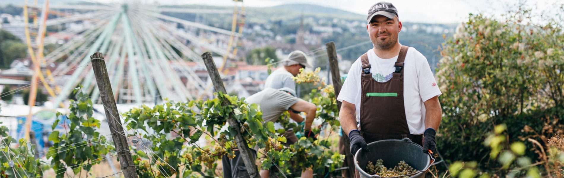 Dürkheimer Michelsberg