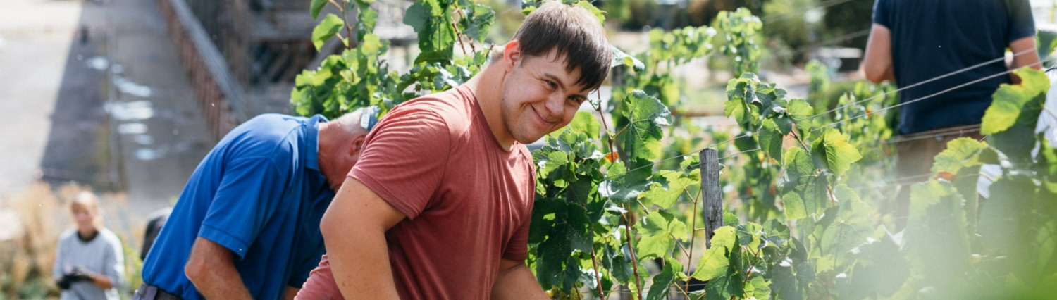 Starbild - Wingert Header - Wingert