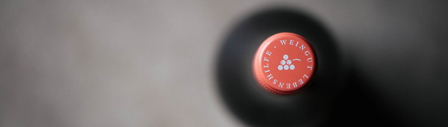 Startbild - Wein Header - Wein